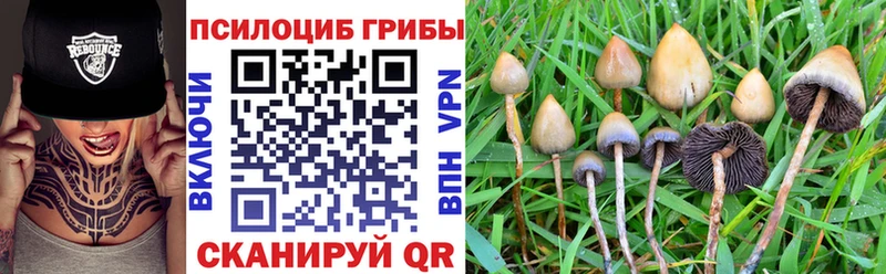 blacksprut вход  Гороховец  Галлюциногенные грибы Psilocybine cubensis 